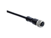 RKTS4 - 288/5M - LTW - Actuator/Sensor Cable - 