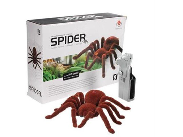 EDU TOY BMT 2WD RC SPIDER